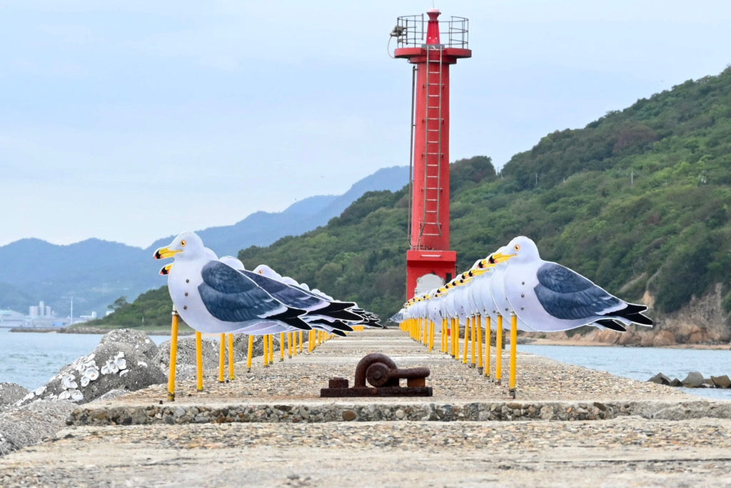 「香川県に行ってきました！【女木島・男木島編】」スタッフブログを更新しました！（11/20更新）