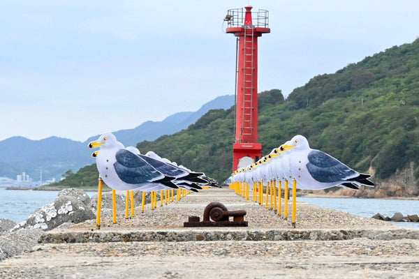 「香川県に行ってきました！【女木島・男木島編】」スタッフブログを更新しました！（11/20更新）