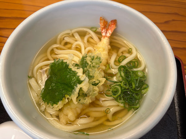 【樹木のヒトリゴト】飛騨高山で海老天かけうどん
