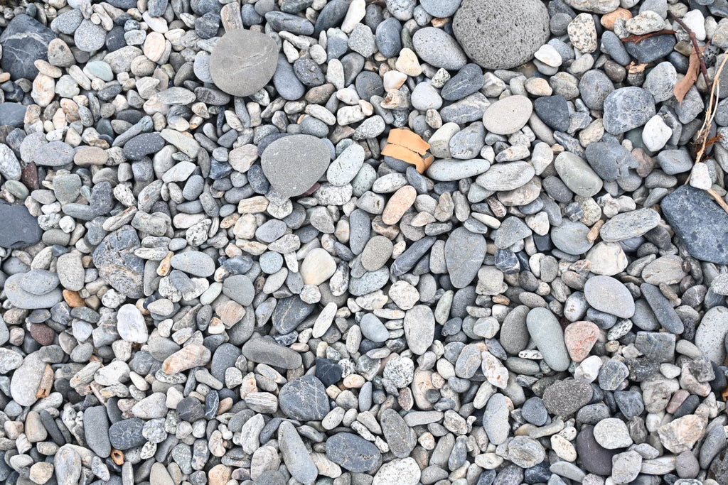 【樹木のヒトリゴト】サンドウィッチと石遊び