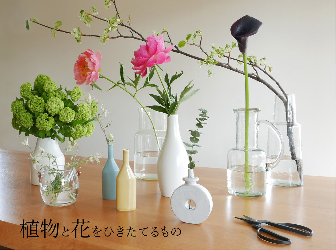 「植物と花をひきたてるもの」特集を公開しました！（4/27更新）