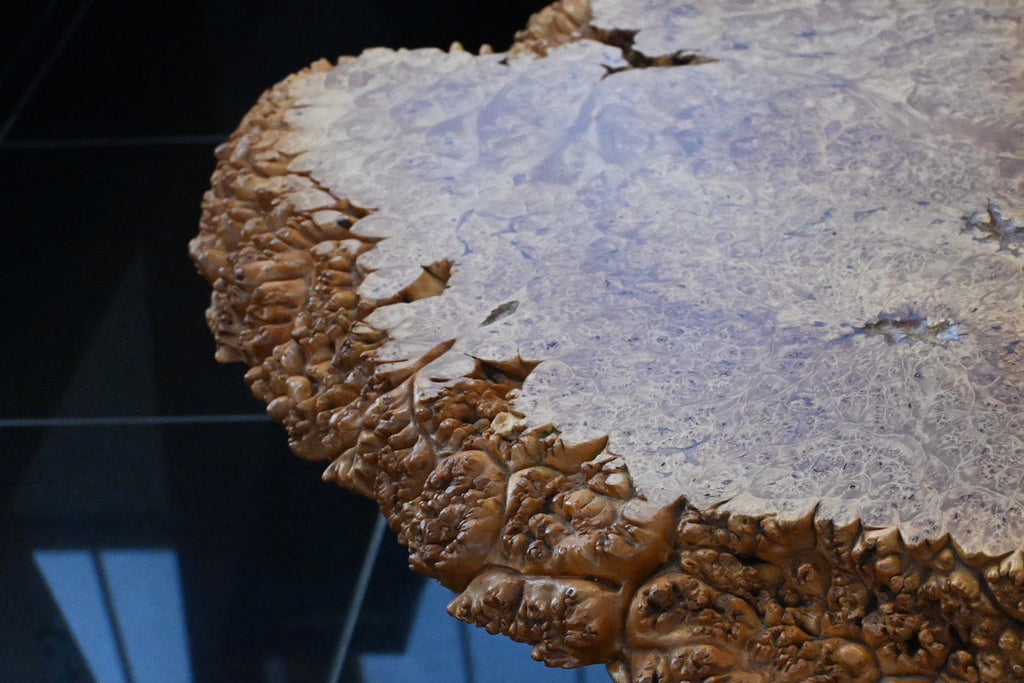 【樹木のヒトリゴト】香川県に行ってきました！【牟礼町編】