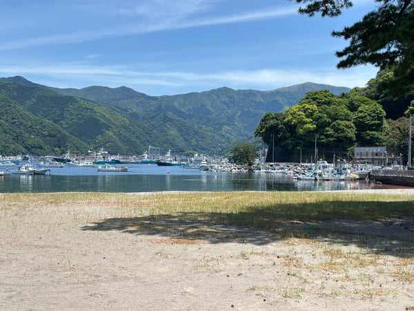 【樹木のヒトリゴト】戸田、御浜岬へ