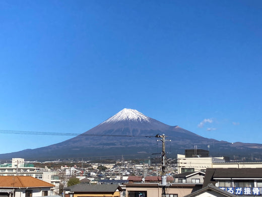 「冬の楽しみ」スタッフブログを更新しました！（12/19更新）