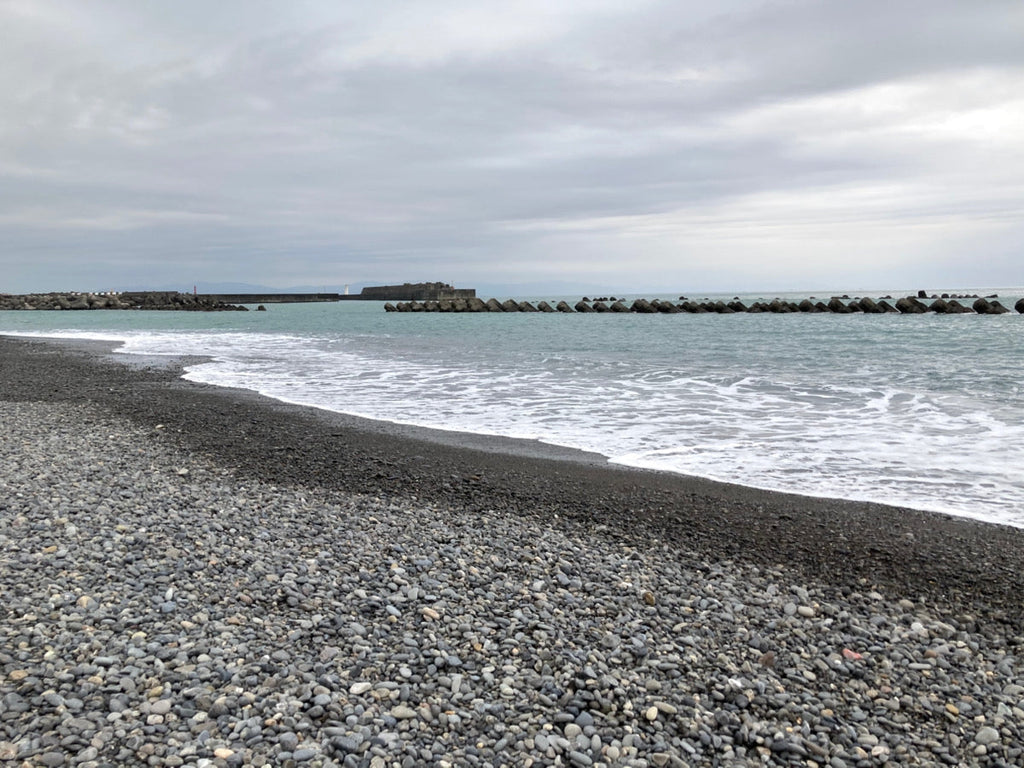 「海へ」スタッフブログを更新しました！（10/30更新）