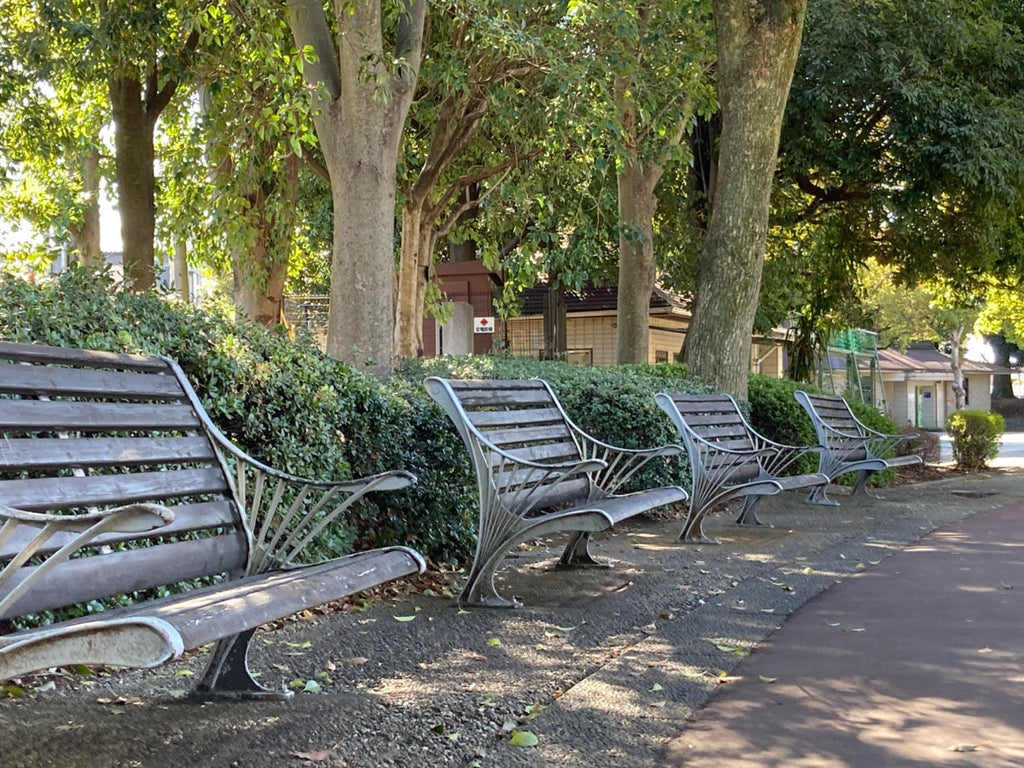 【樹木のヒトリゴト】朝のお散歩