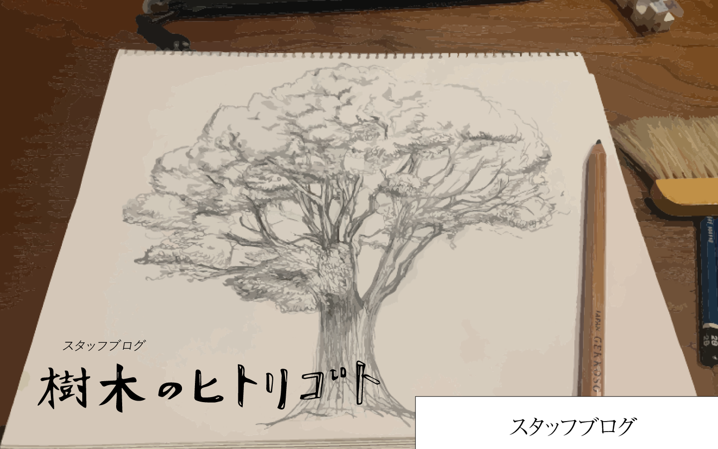 【樹木のヒトリゴト】スタッフブログ