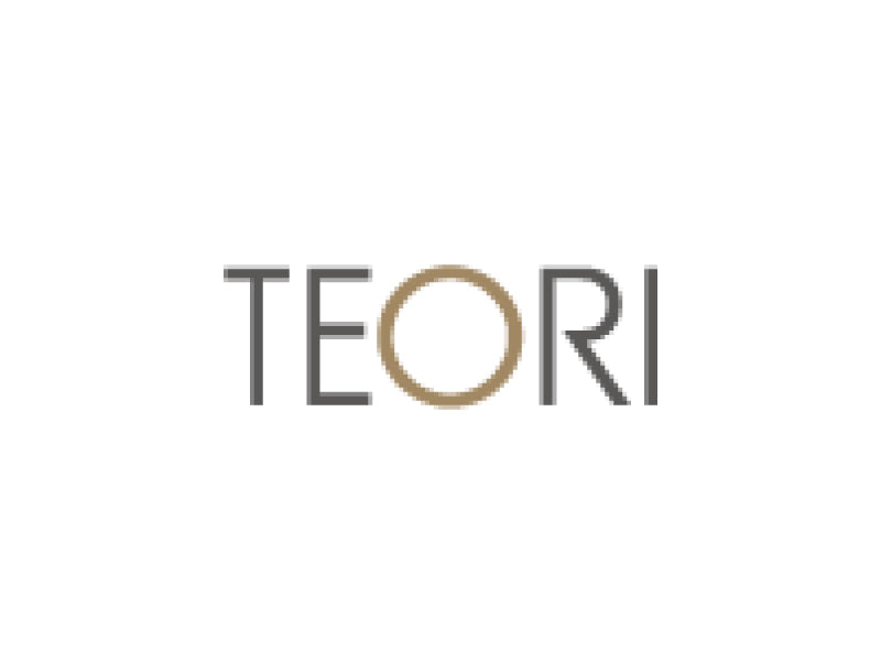 TEORI