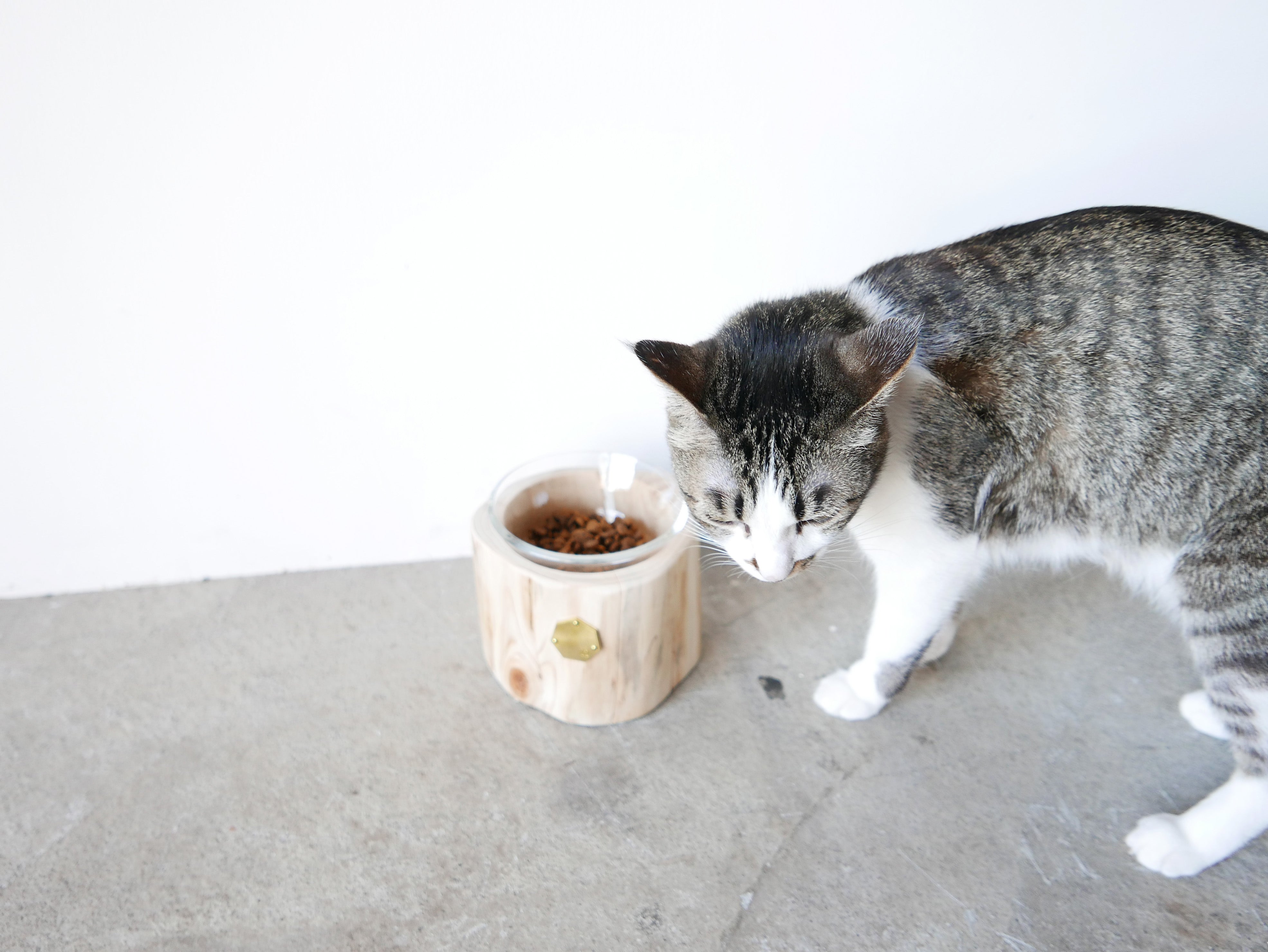 Cul de Sac｜1CUP ペットテーブル H10cm / H12cm– ハナレアルタナ