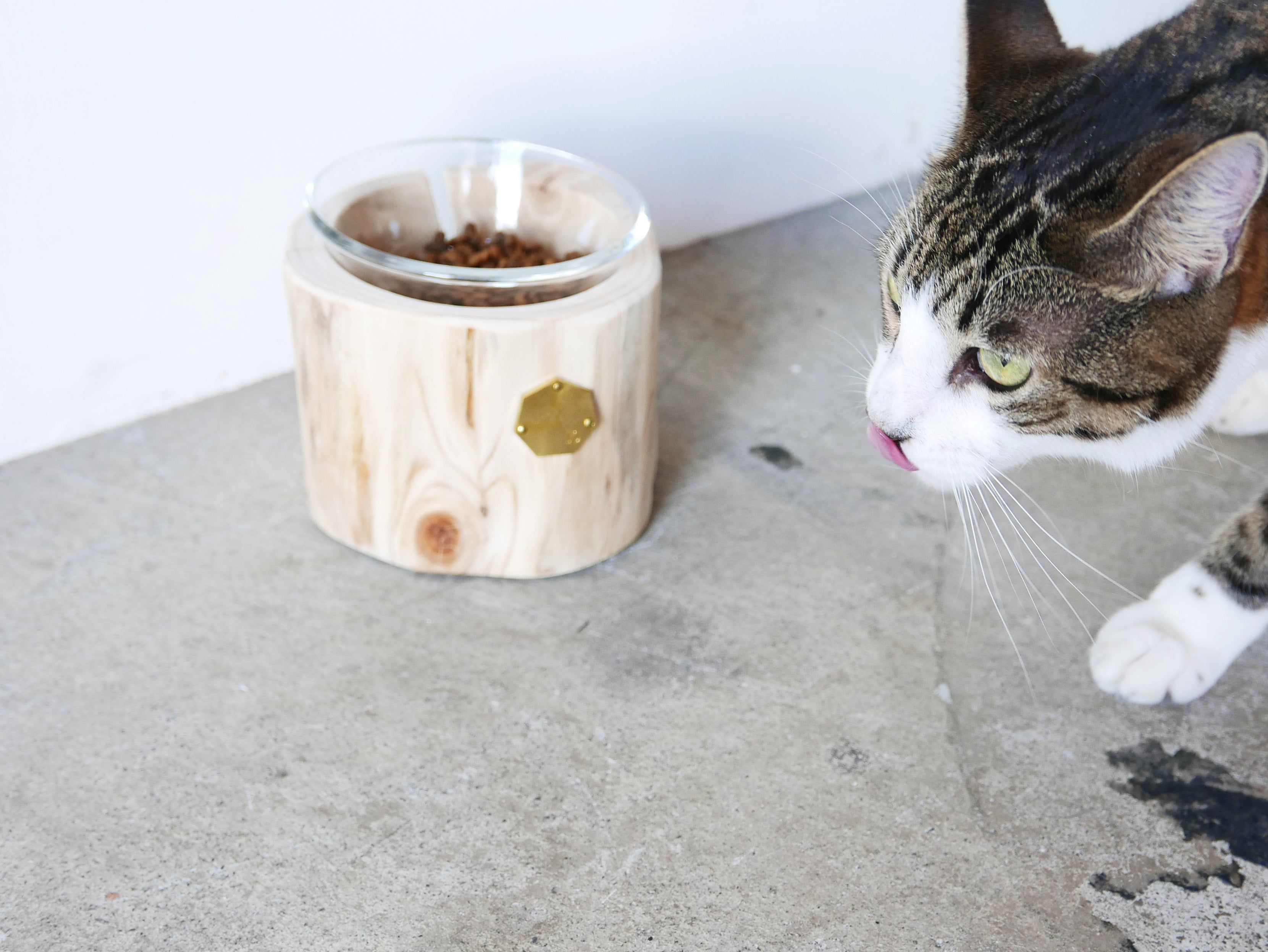 Cul de Sac｜1CUP ペットテーブル H10cm / H12cm– ハナレアルタナ