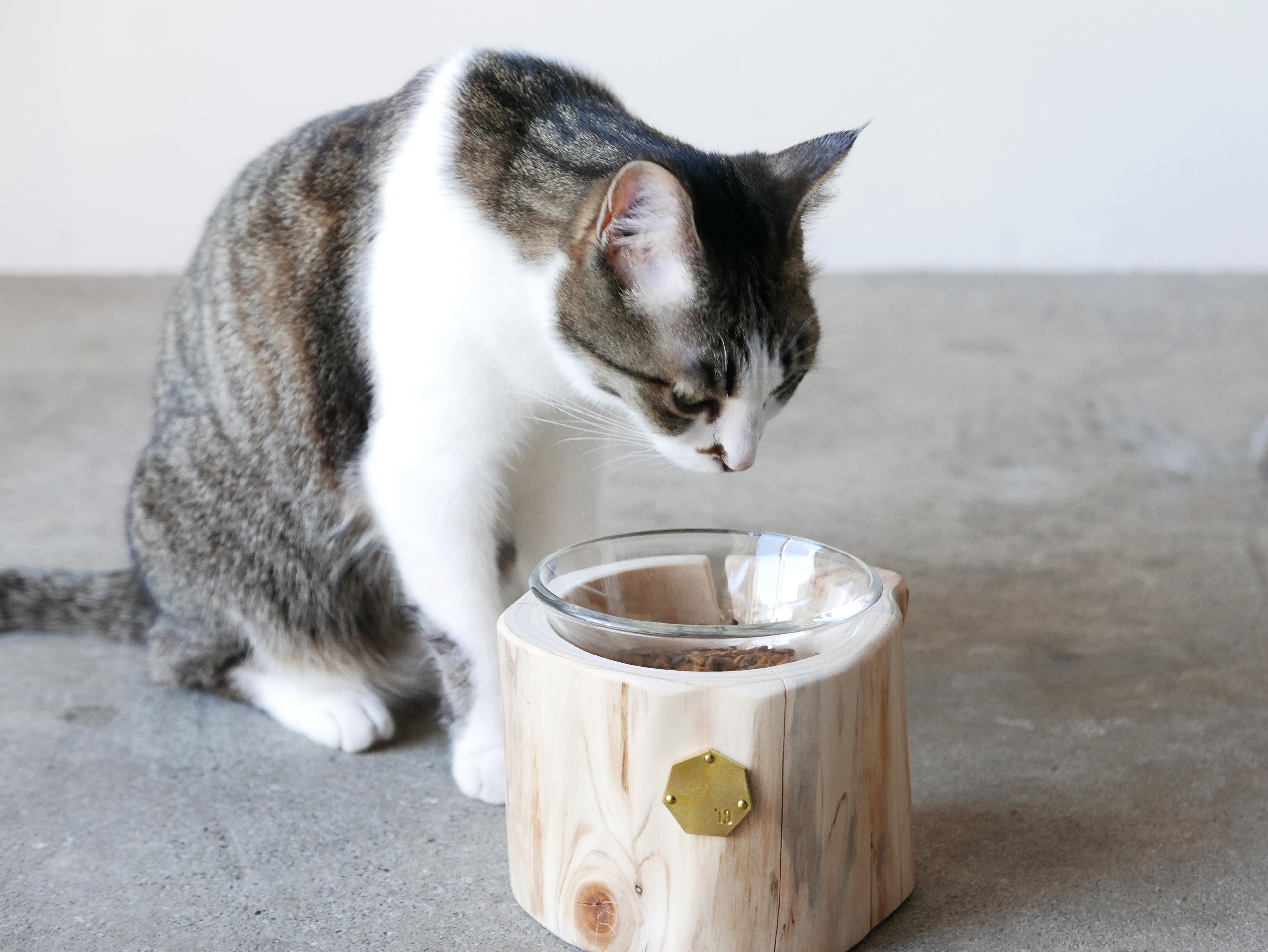 Cul de Sac｜1CUP ペットテーブル H10cm / H12cm– ハナレアルタナ