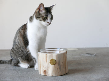 Cul de Sac｜1CUP ペットテーブル H10cm / H12cm– ハナレアルタナ 