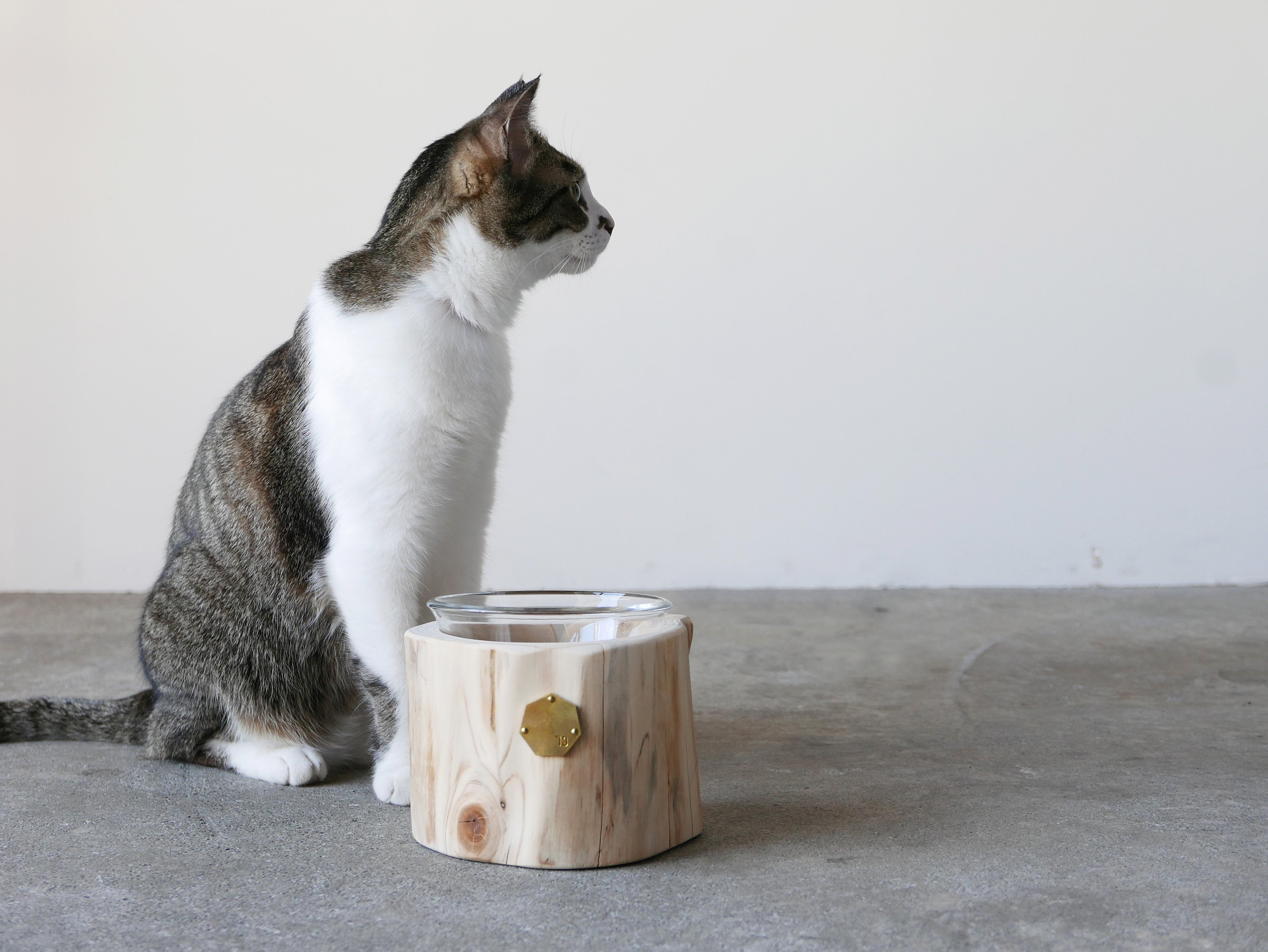Cul de Sac｜1CUP ペットテーブル H10cm / H12cm– ハナレアルタナ
