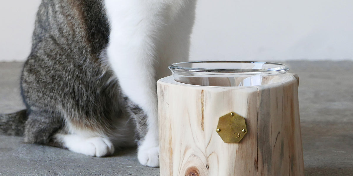 Cul de Sac｜1CUP ペットテーブル H10cm / H12cm– ハナレアルタナ