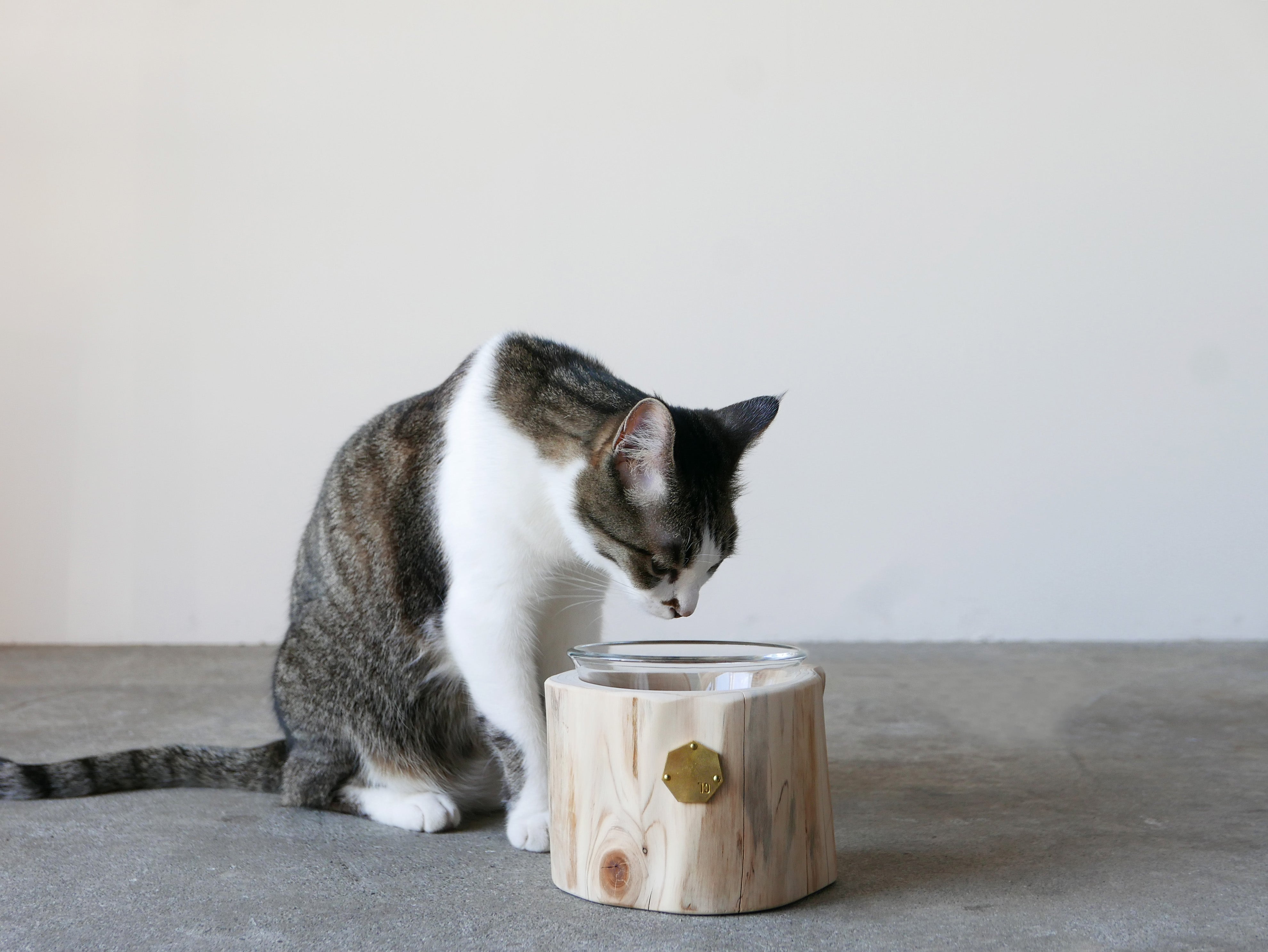 Cul de Sac｜1CUP ペットテーブル H10cm / H12cm– ハナレアルタナ