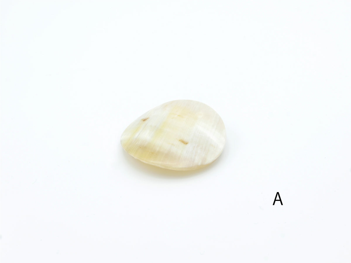 KOST KAMM｜Hair Clip　ラウンド　No.9538　水牛角　ヘアクリップ