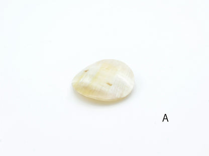KOST KAMM｜Hair Clip　ラウンド　No.9538　水牛角　ヘアクリップ