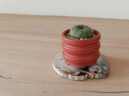 amabro｜WOOD COASTER　Natural【21～40】