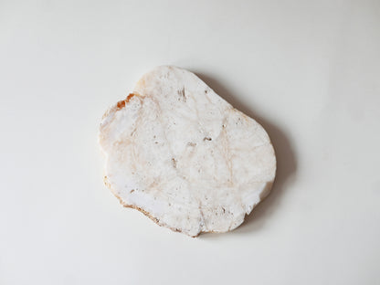 amabro｜AGATE PLATE