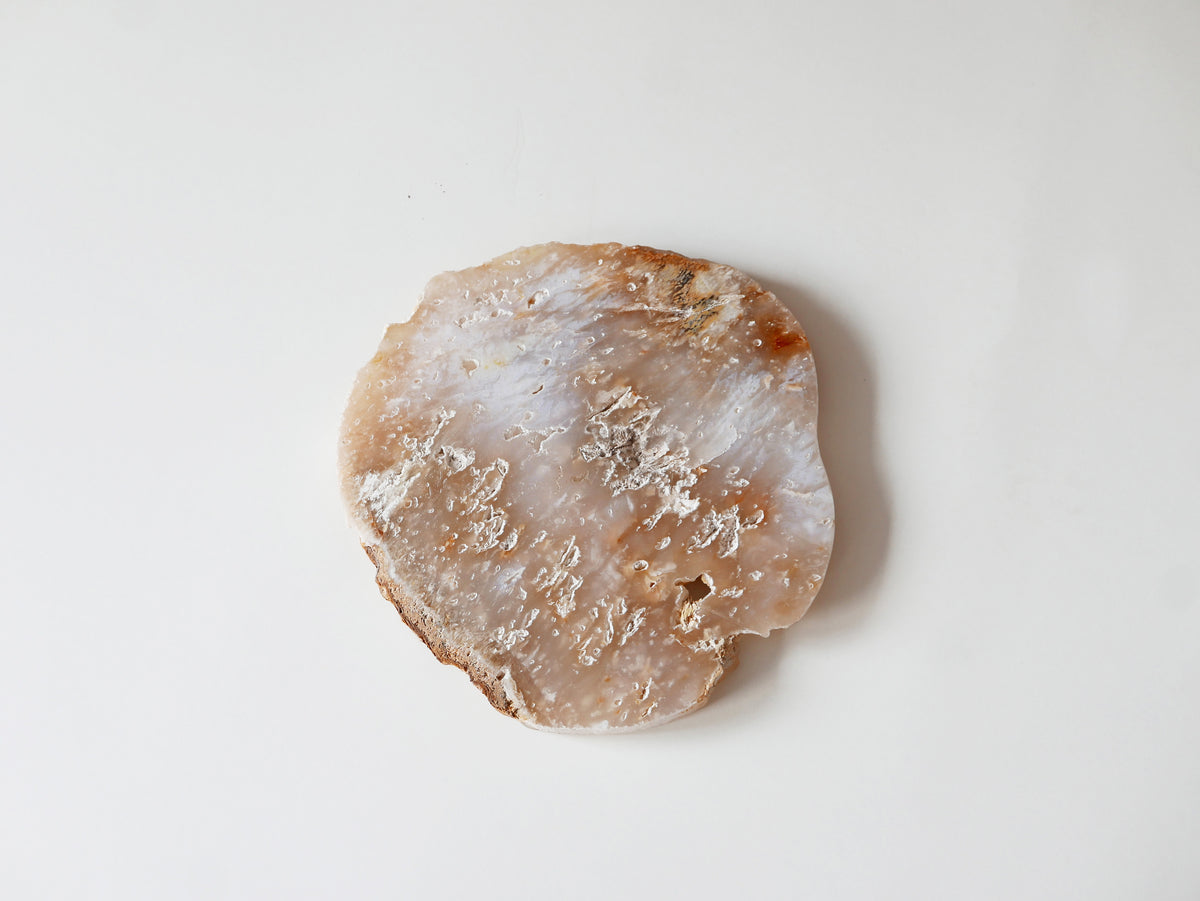amabro｜AGATE PLATE