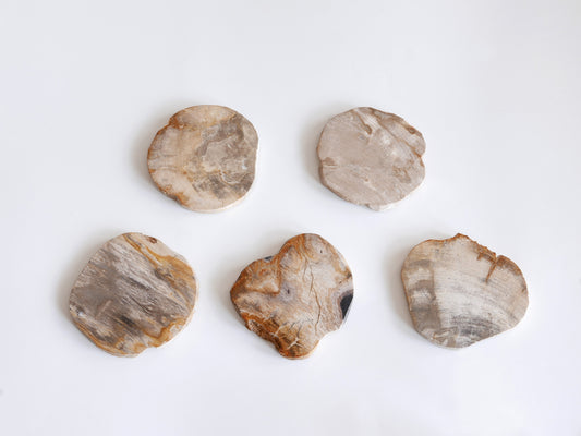 amabro｜WOOD COASTER　Natural【1～20】