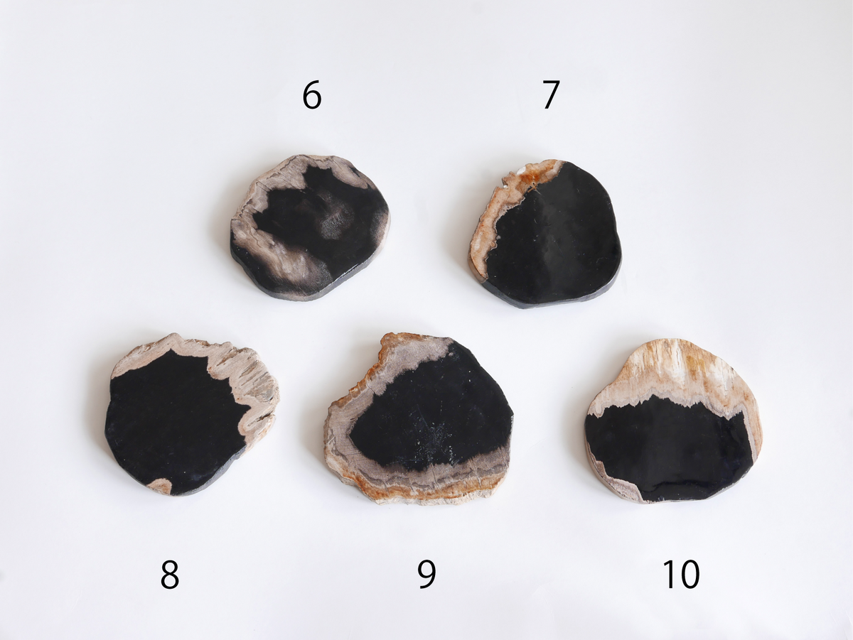 amabro｜WOOD COASTER　Black【1～20】