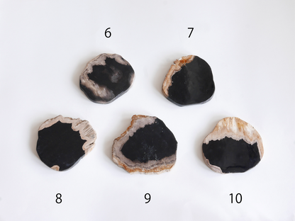 amabro｜WOOD COASTER　Black【1～20】