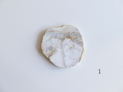 amabro｜AGATE PLATE　【1】【2】
