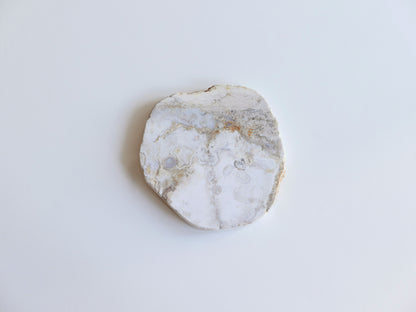 amabro｜AGATE PLATE　【1】【2】