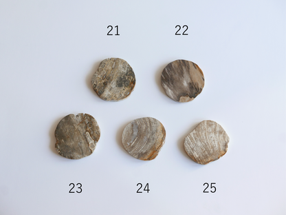 amabro｜WOOD COASTER　Natural【21～40】