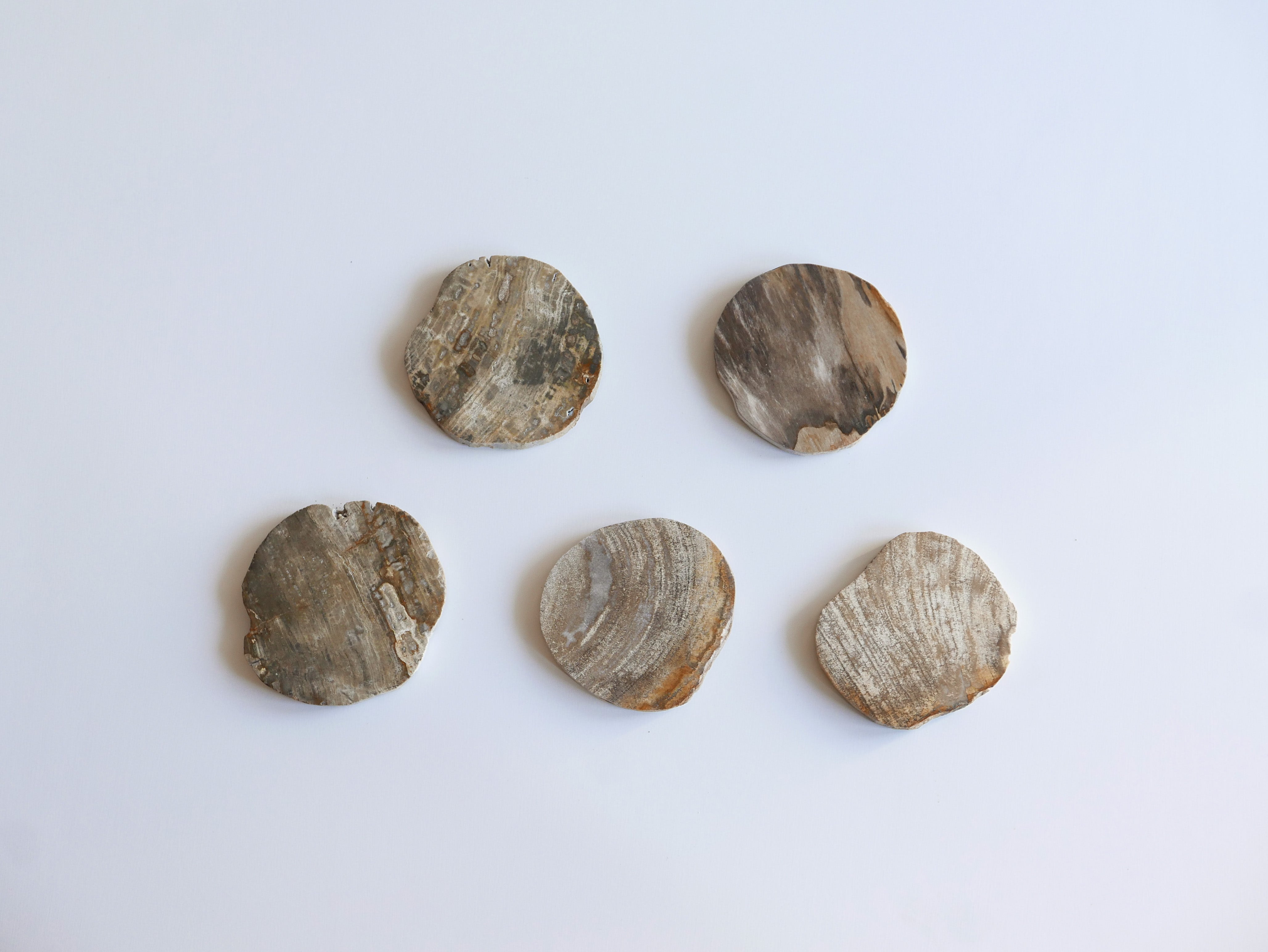 amabro｜WOOD COASTER Natural【21～40】 – ハナレアルタナ ONLINE STORE