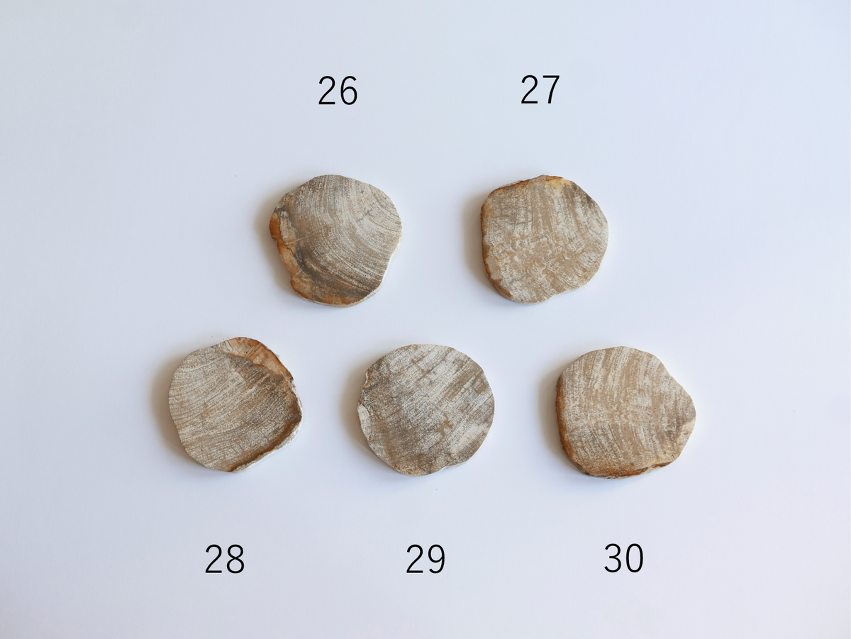amabro｜WOOD COASTER　Natural【21～40】