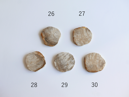 amabro｜WOOD COASTER　Natural【21～40】