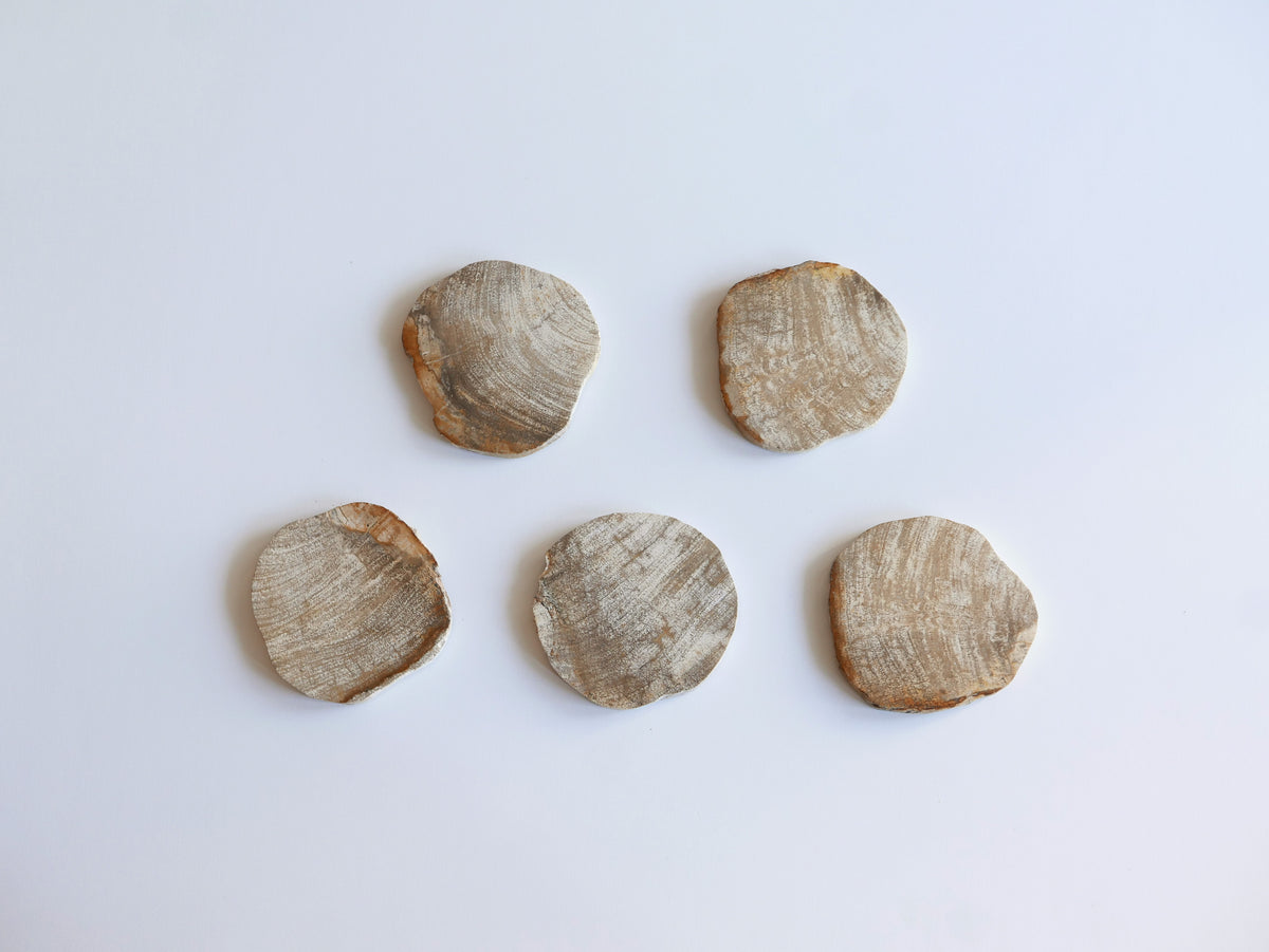 amabro｜WOOD COASTER　Natural【21～40】