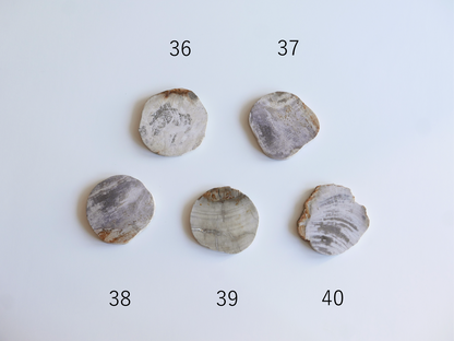 amabro｜WOOD COASTER　Natural【21～40】