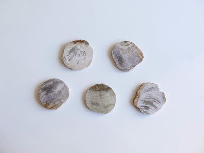 amabro｜WOOD COASTER　Natural【21～40】