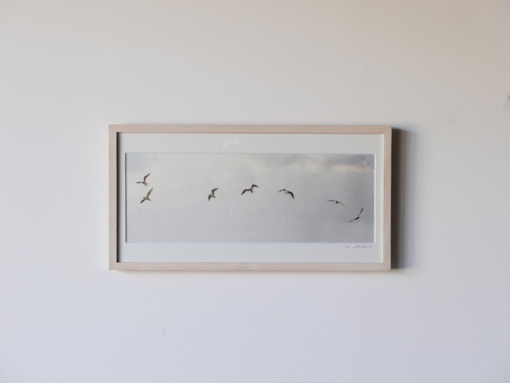 【作家もの】岡部稔｜PHOTO IMPROVISATION no.17｜W51 × H26.4cm