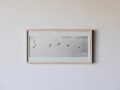 【作家もの】岡部稔｜PHOTO IMPROVISATION no.17｜W51 × H26.4cm