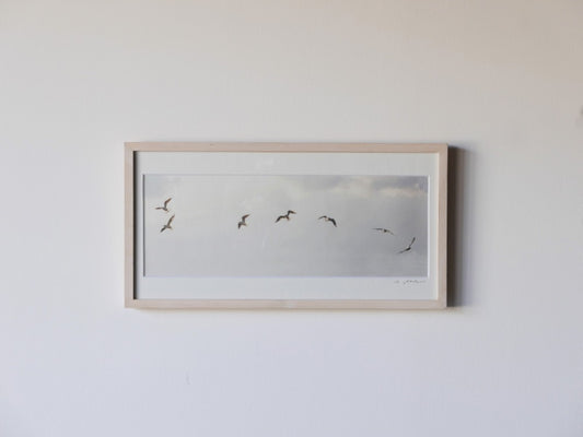 【作家もの】岡部稔｜PHOTO IMPROVISATION no.17｜W51 × H26.4cm